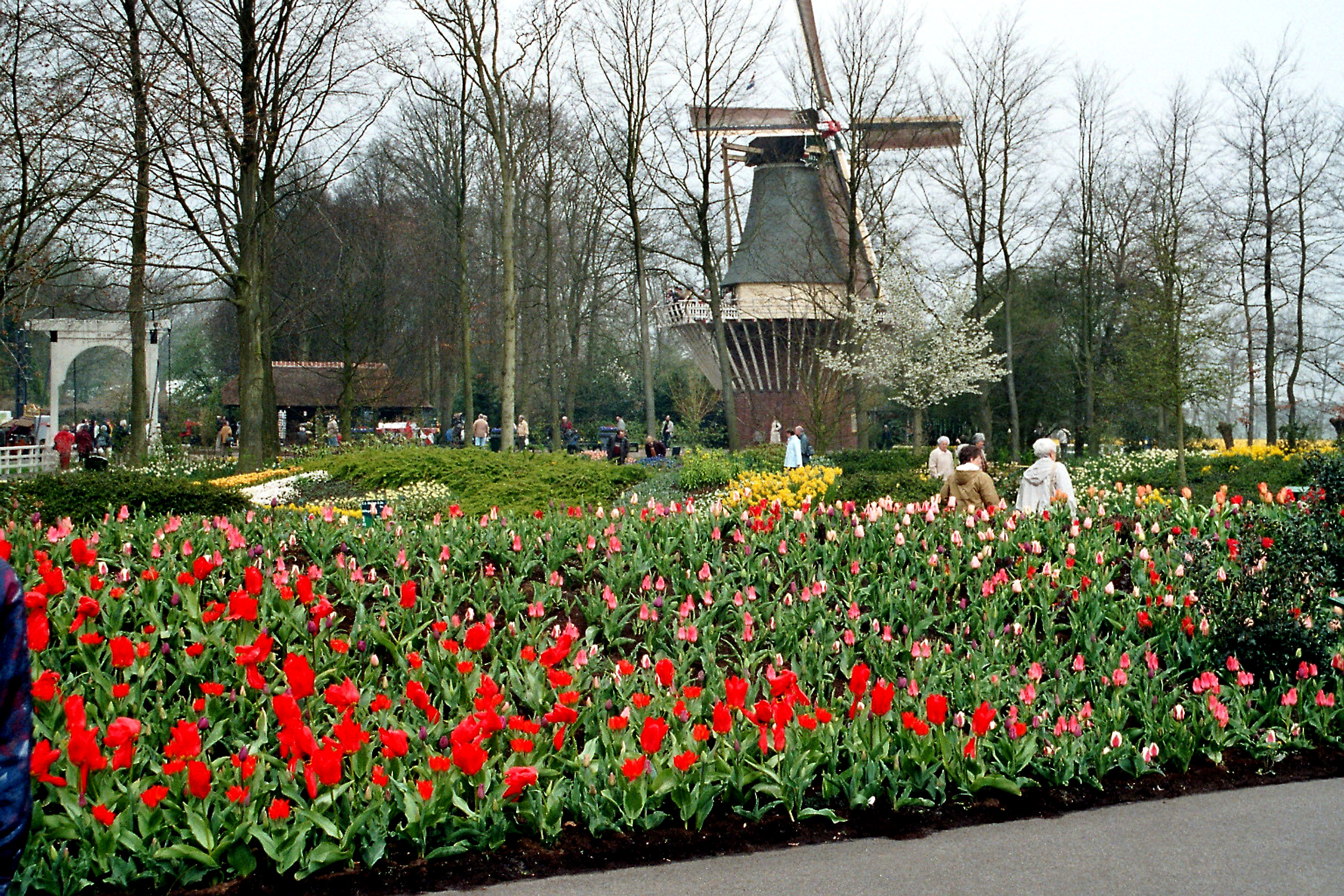 Forår i Holland