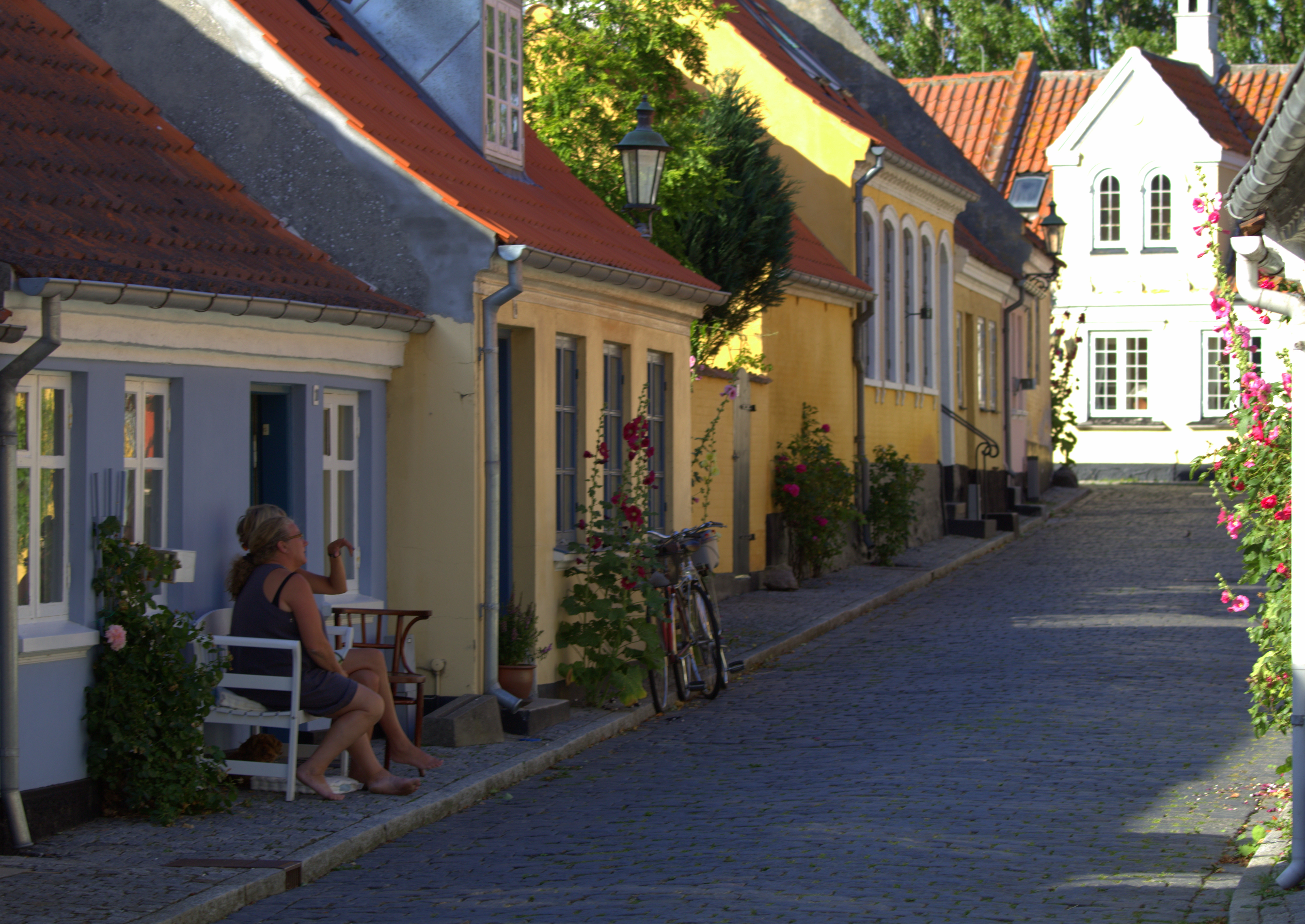 Fyn skal det være • 3 dage
