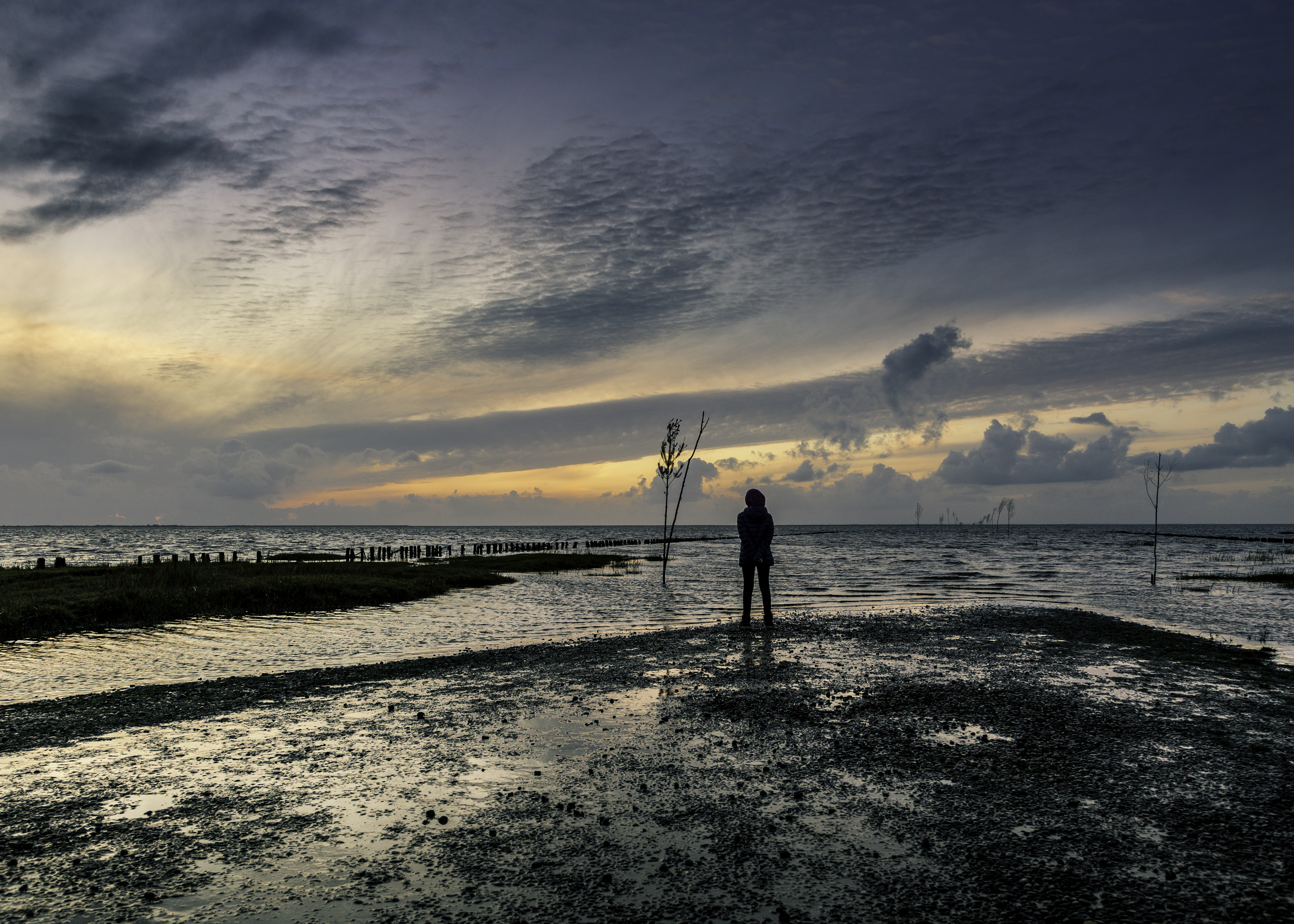 Ud i Naturen • Vadehavet & Vesterhavet • 4 dage